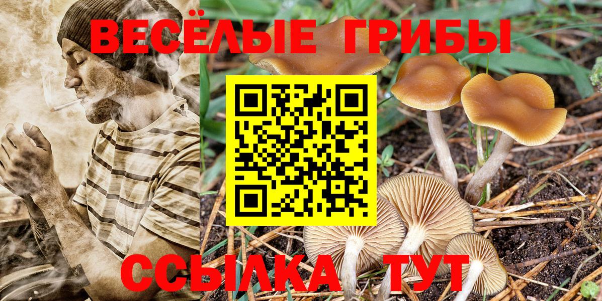 Галлюциногенные грибы мицелий  Вход с VPN  Костомукша 