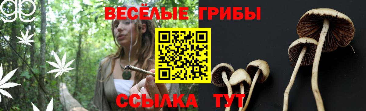 Галлюциногенные грибы ЛСД Костомукша